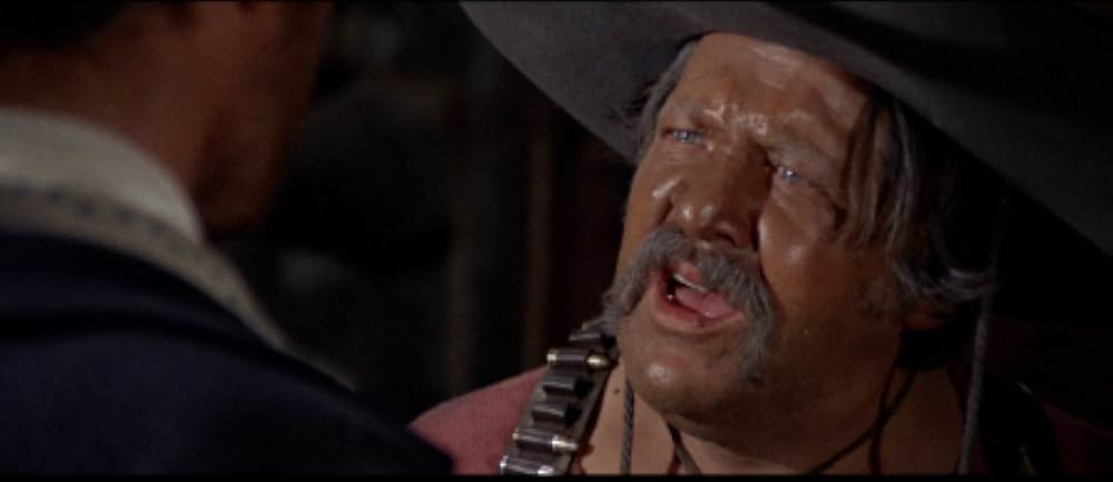 二匹の流れ星の画像