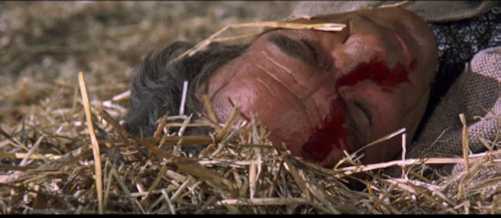 二匹の流れ星の画像