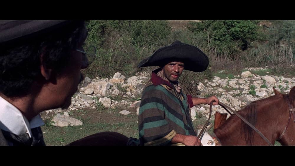 二匹の流れ星の画像