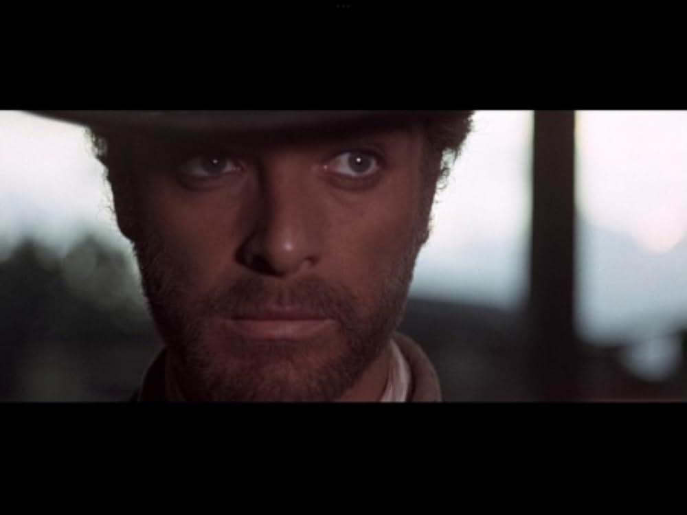 二匹の流れ星の画像