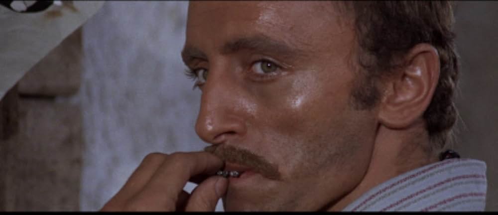 二匹の流れ星の画像