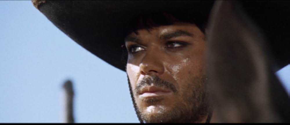 二匹の流れ星の画像