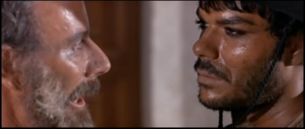 二匹の流れ星の画像