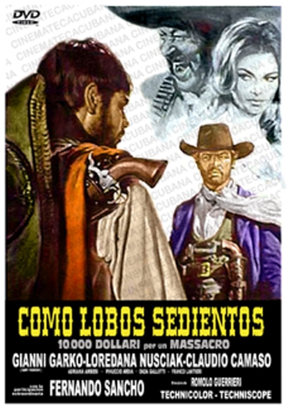 二匹の流れ星の画像