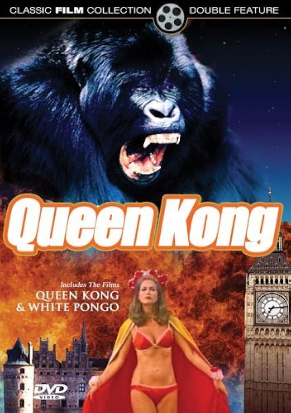 クィーン・コングの画像