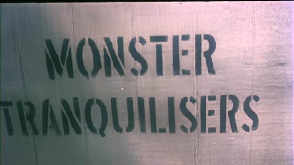 クィーン・コングの画像