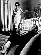 「熱いトタン屋根の猫」ポール・ニューマン & エリザベス・テイラーの画像