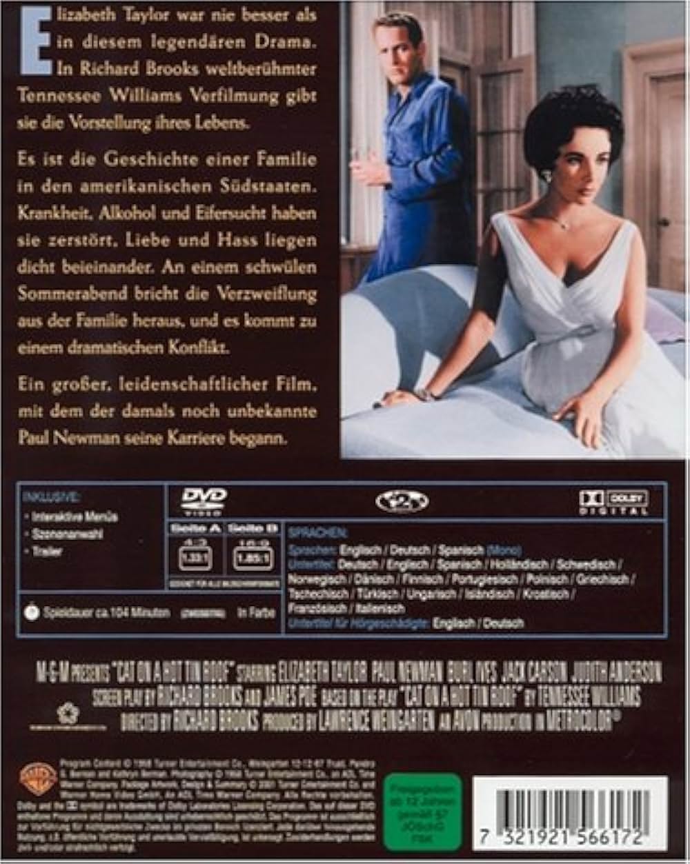 熱いトタン屋根の猫の画像