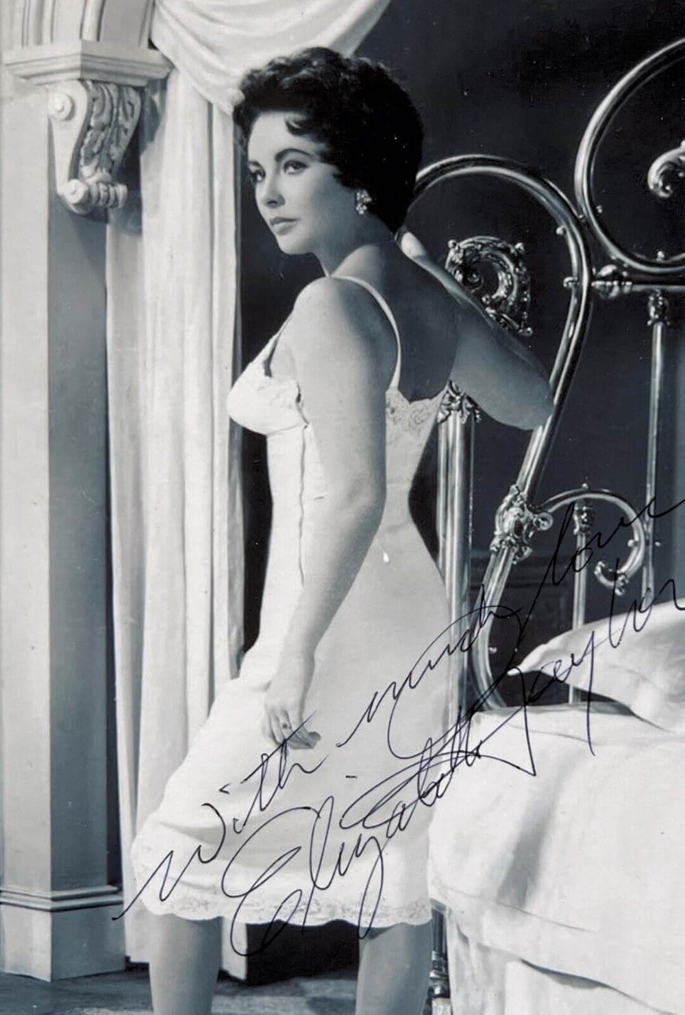 熱いトタン屋根の猫の画像