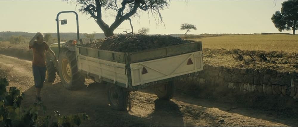 愛の原罪の画像