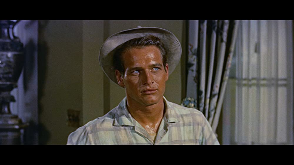 長く熱い夜の画像