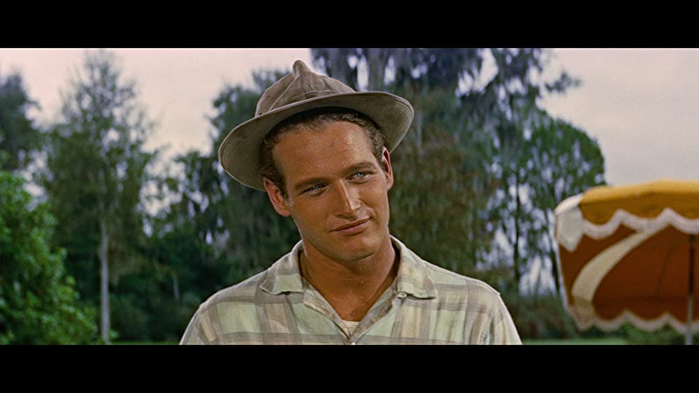 長く熱い夜の画像