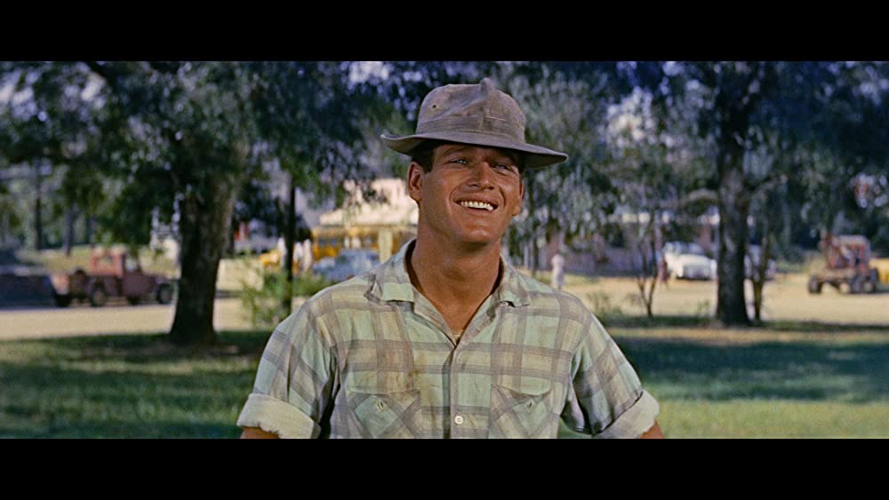 長く熱い夜の画像