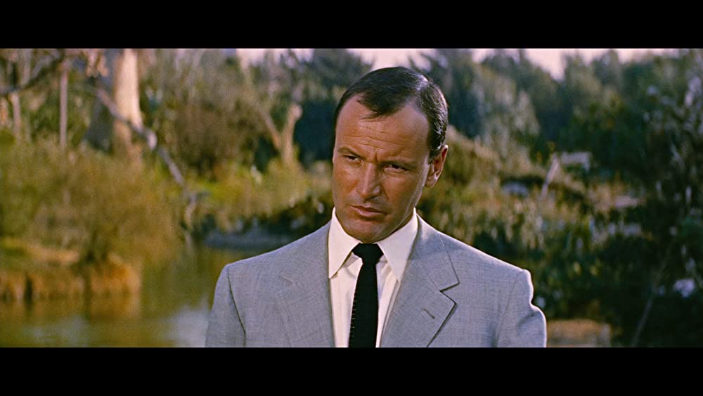 長く熱い夜の画像