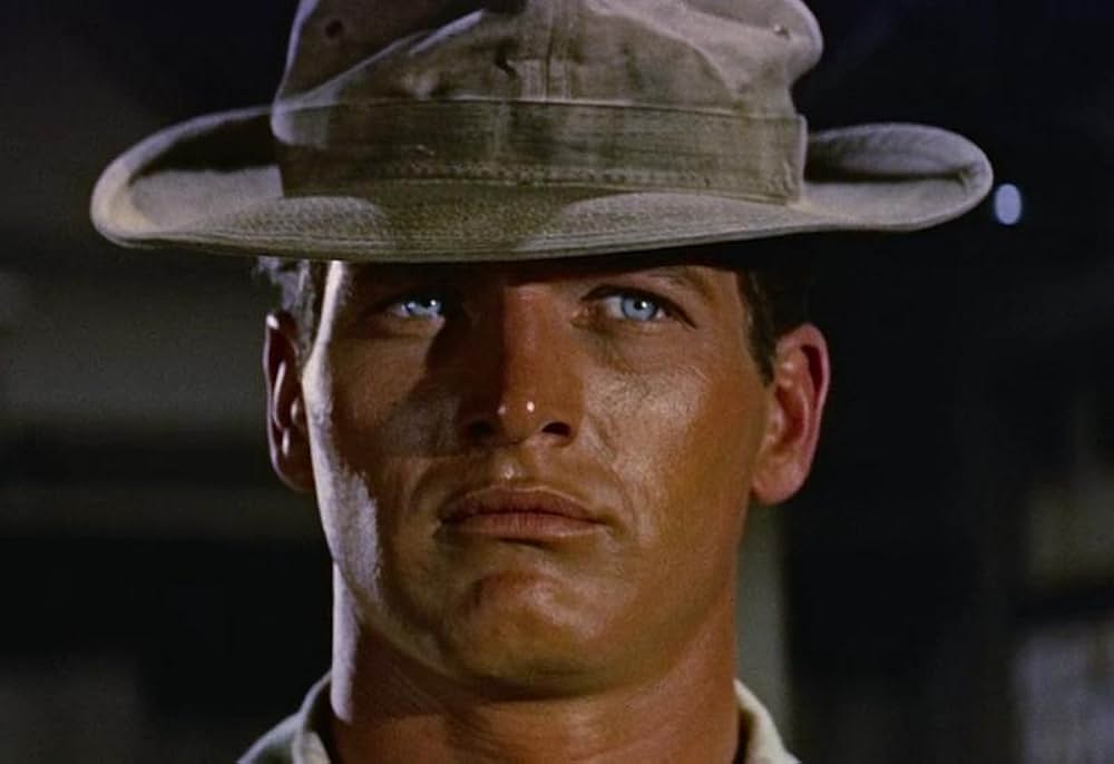 長く熱い夜の画像