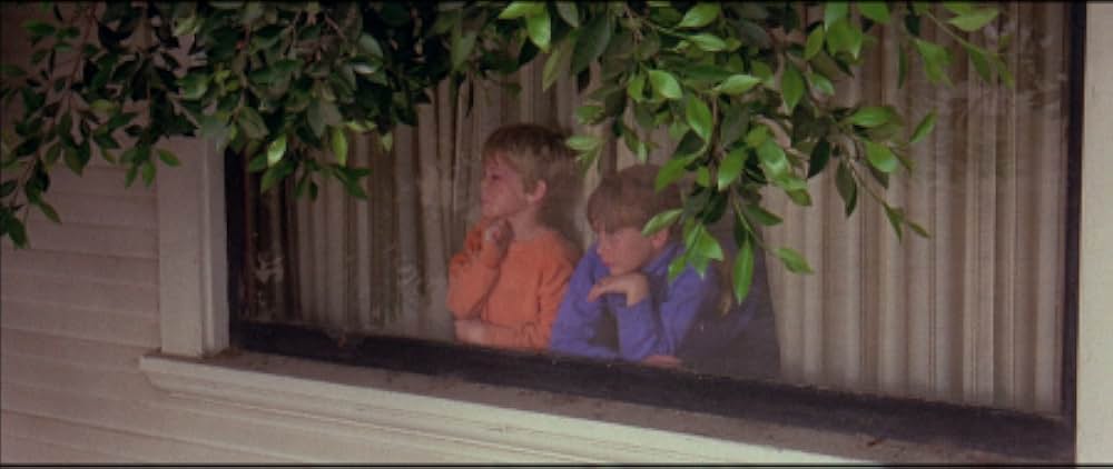 悪魔の血族の画像