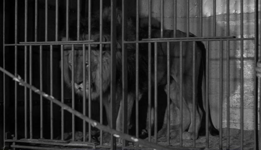 戦慄の殺人屋敷の画像