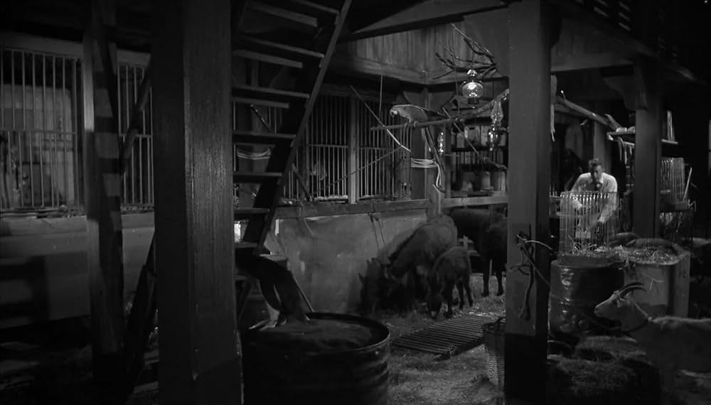 戦慄の殺人屋敷の画像