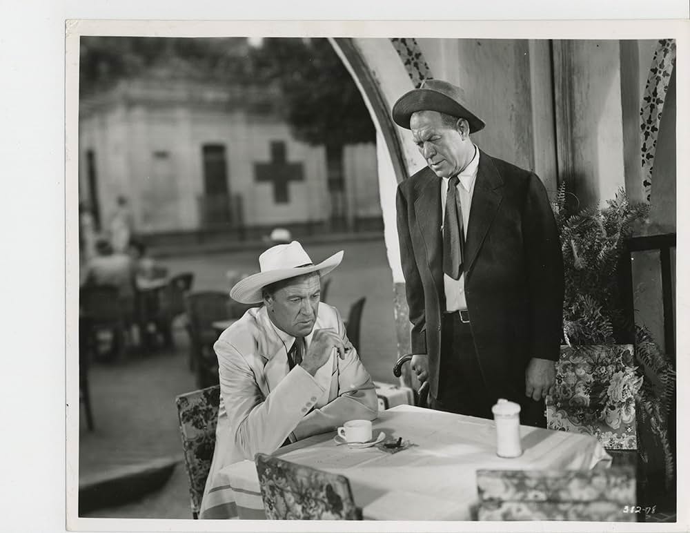 吹き荒ぶ風の画像