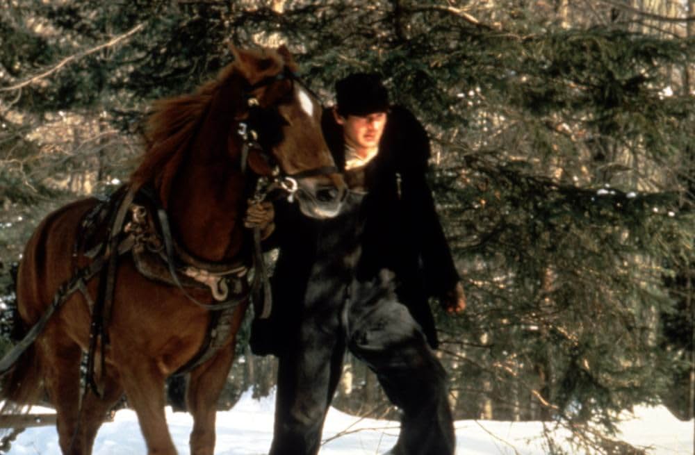 哀愁のメモワールの画像