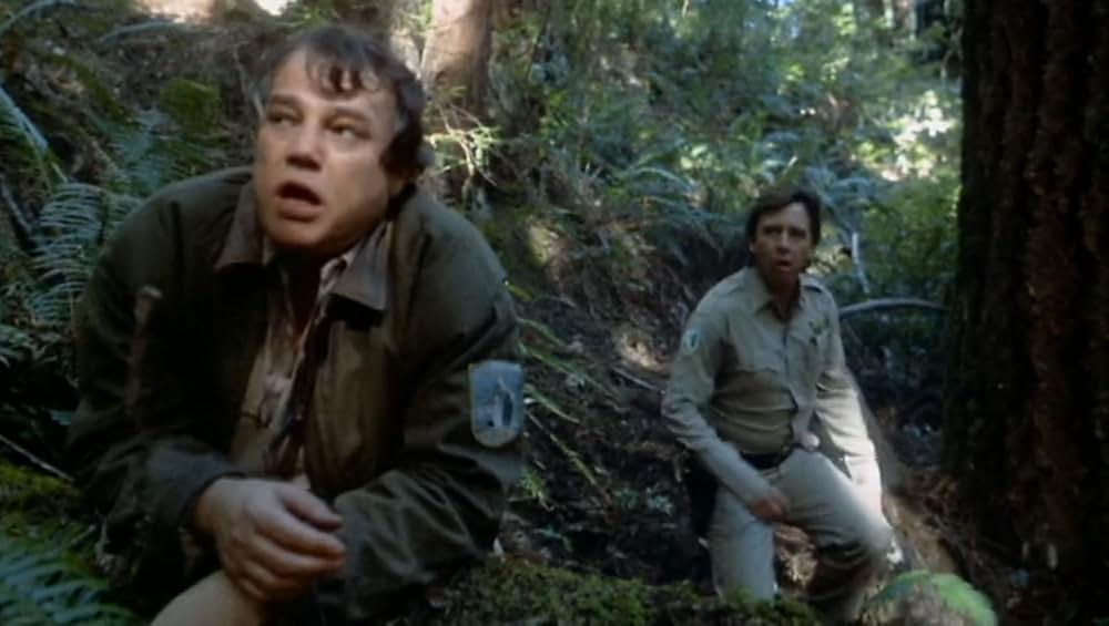 ダブルトリック／謎のアリバイを追え！の画像