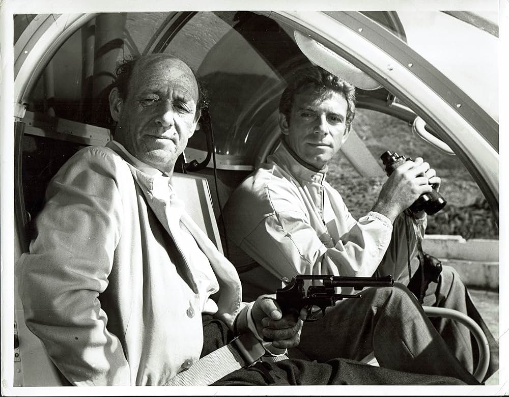 空から赤いバラの画像