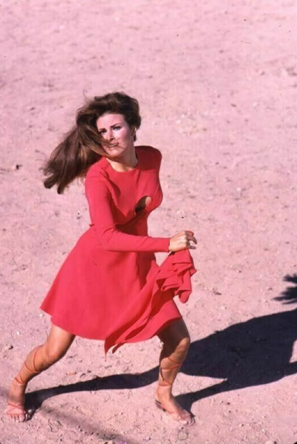 空から赤いバラの画像