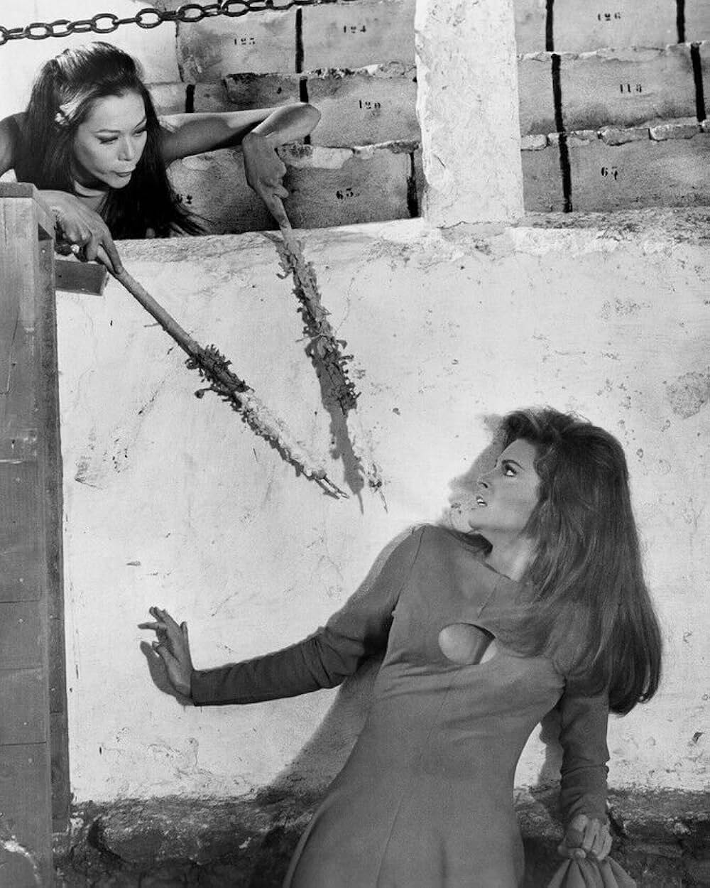 空から赤いバラの画像