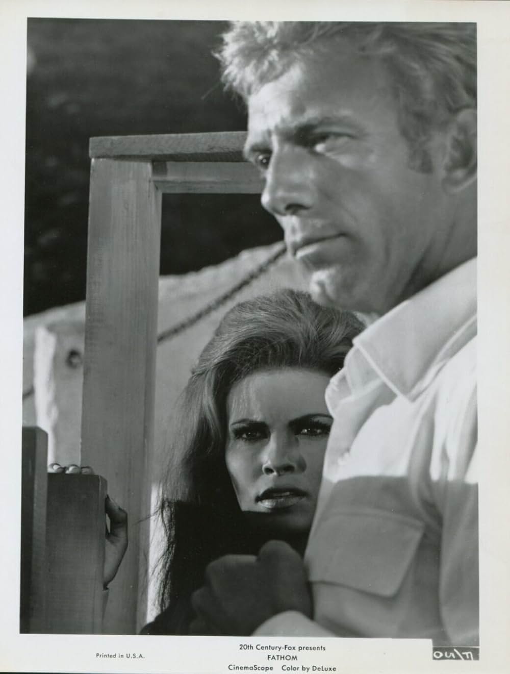 空から赤いバラの画像