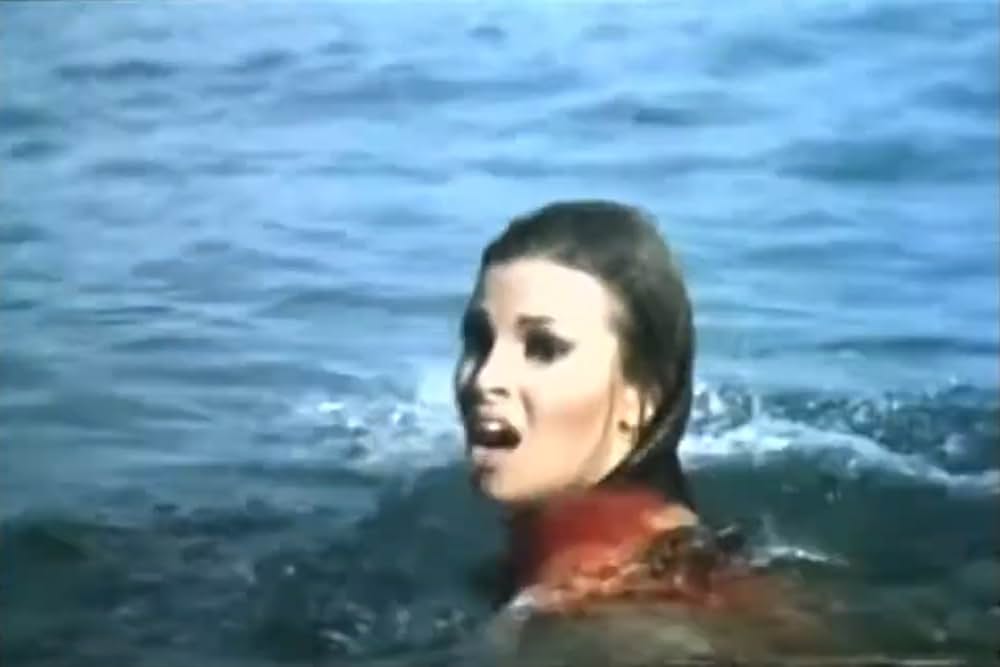 空から赤いバラの画像