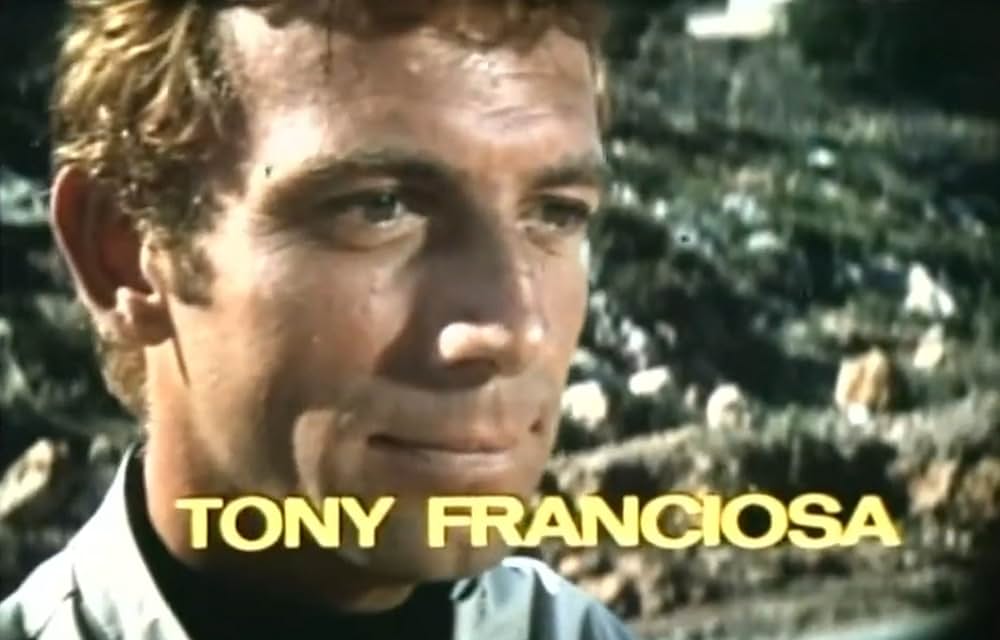 空から赤いバラの画像