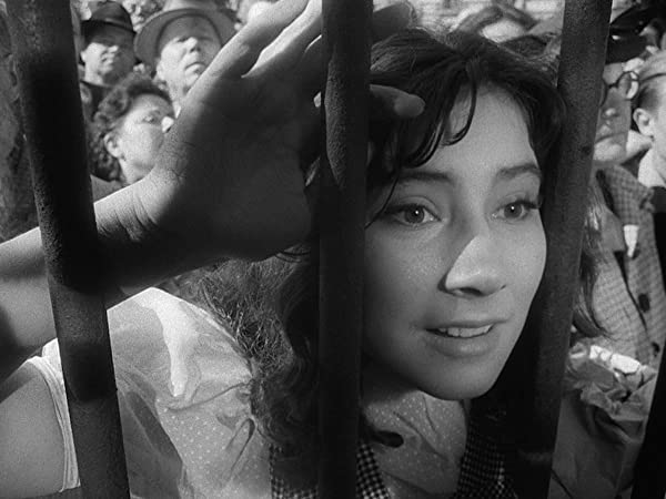 鶴は翔んでゆく/戦争と貞操の画像