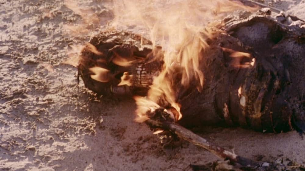 FOES／フォーズ・謎の不可触領域の画像