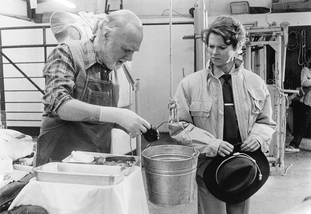 真夜中の極秘実験の画像