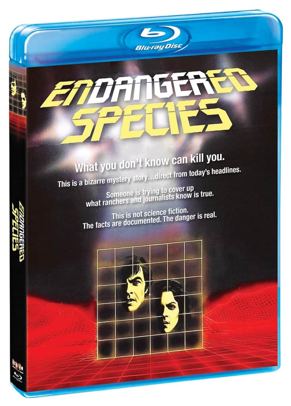 真夜中の極秘実験の画像