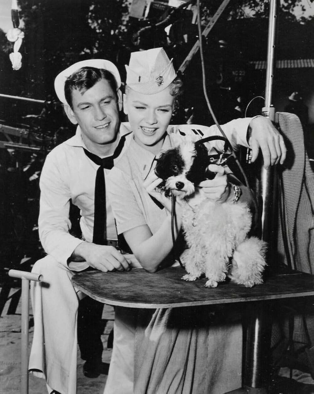 Z旗あげての画像