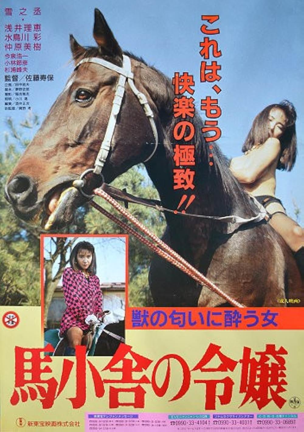 馬小舎の令嬢の写真