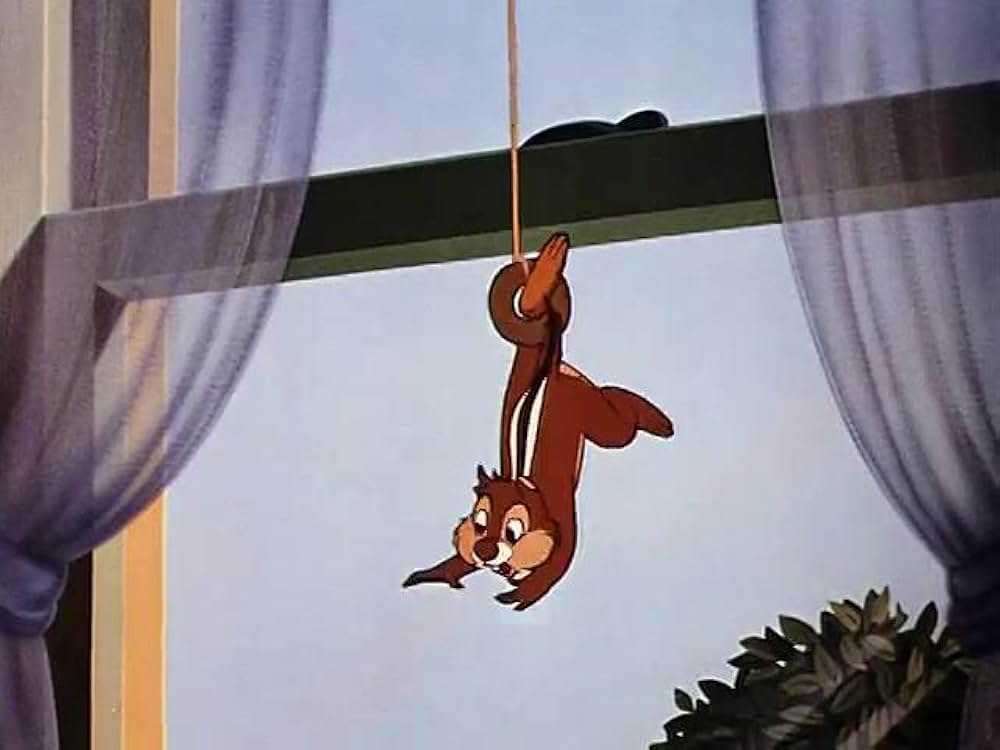 リスの朝ごはんの画像