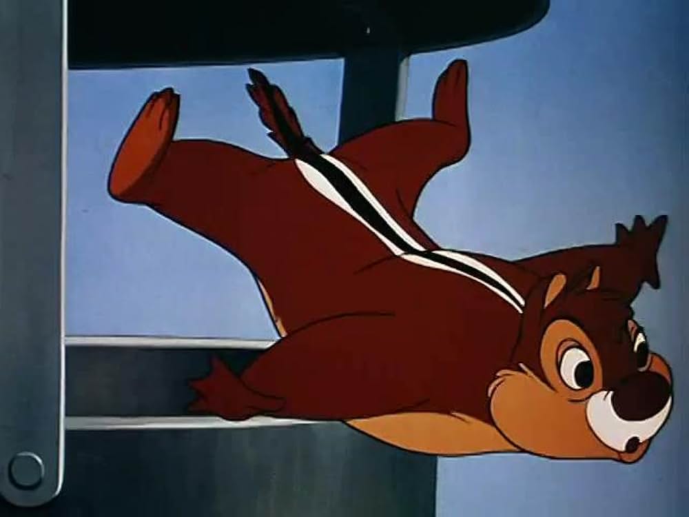 リスの朝ごはんの画像