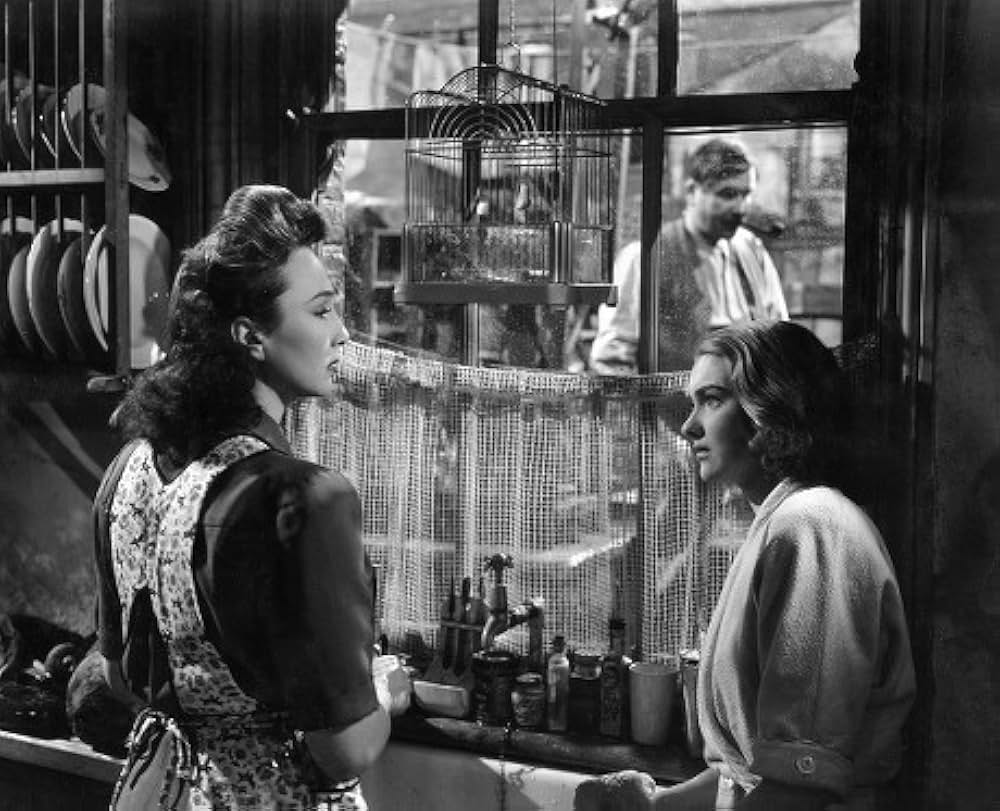 日曜日はいつも雨の画像