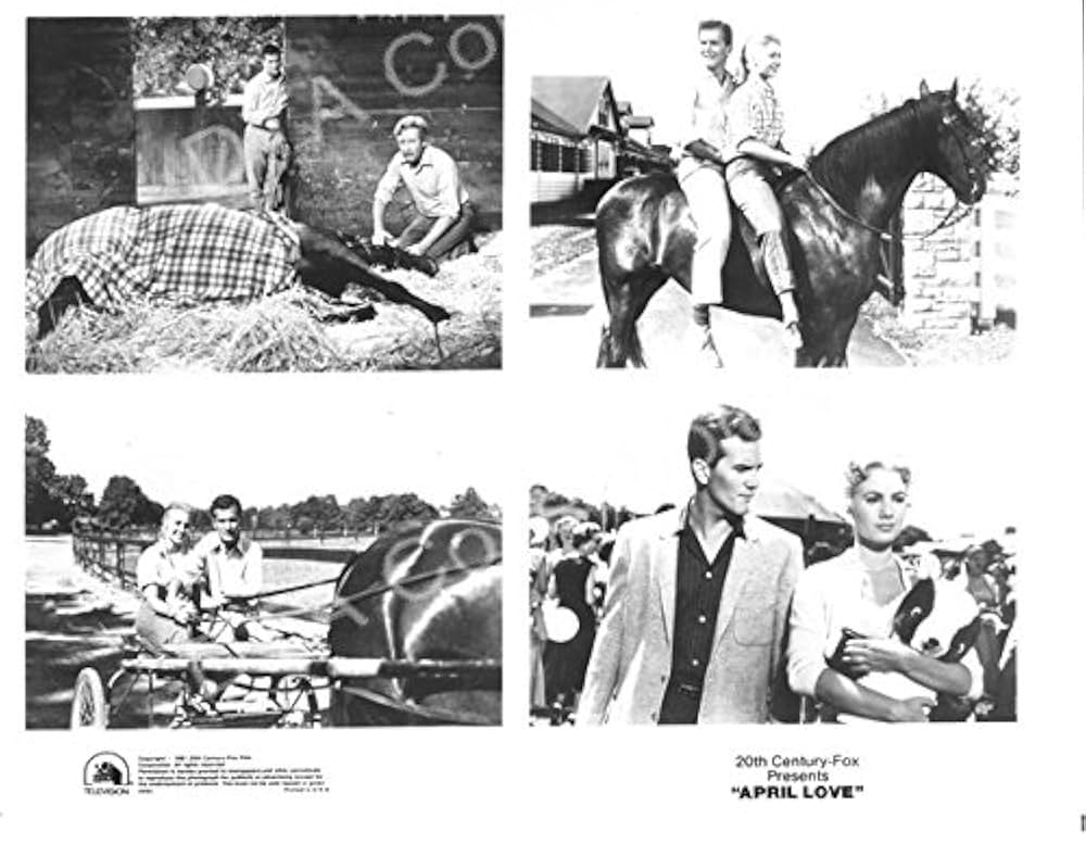 四月の恋の画像