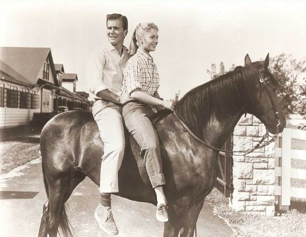 四月の恋の画像