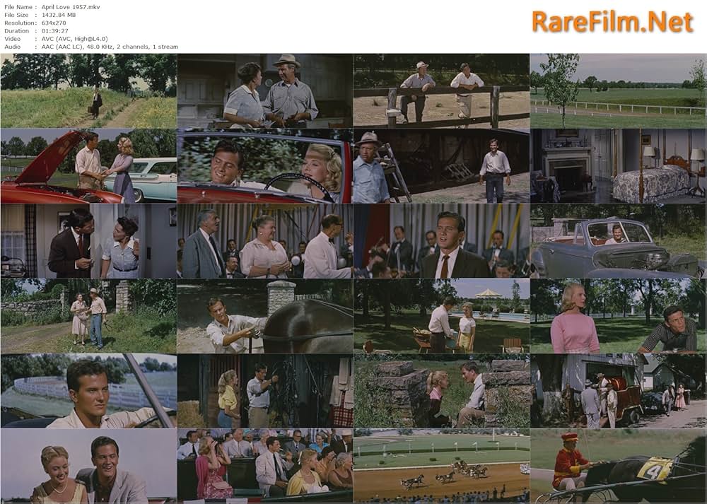 四月の恋の画像