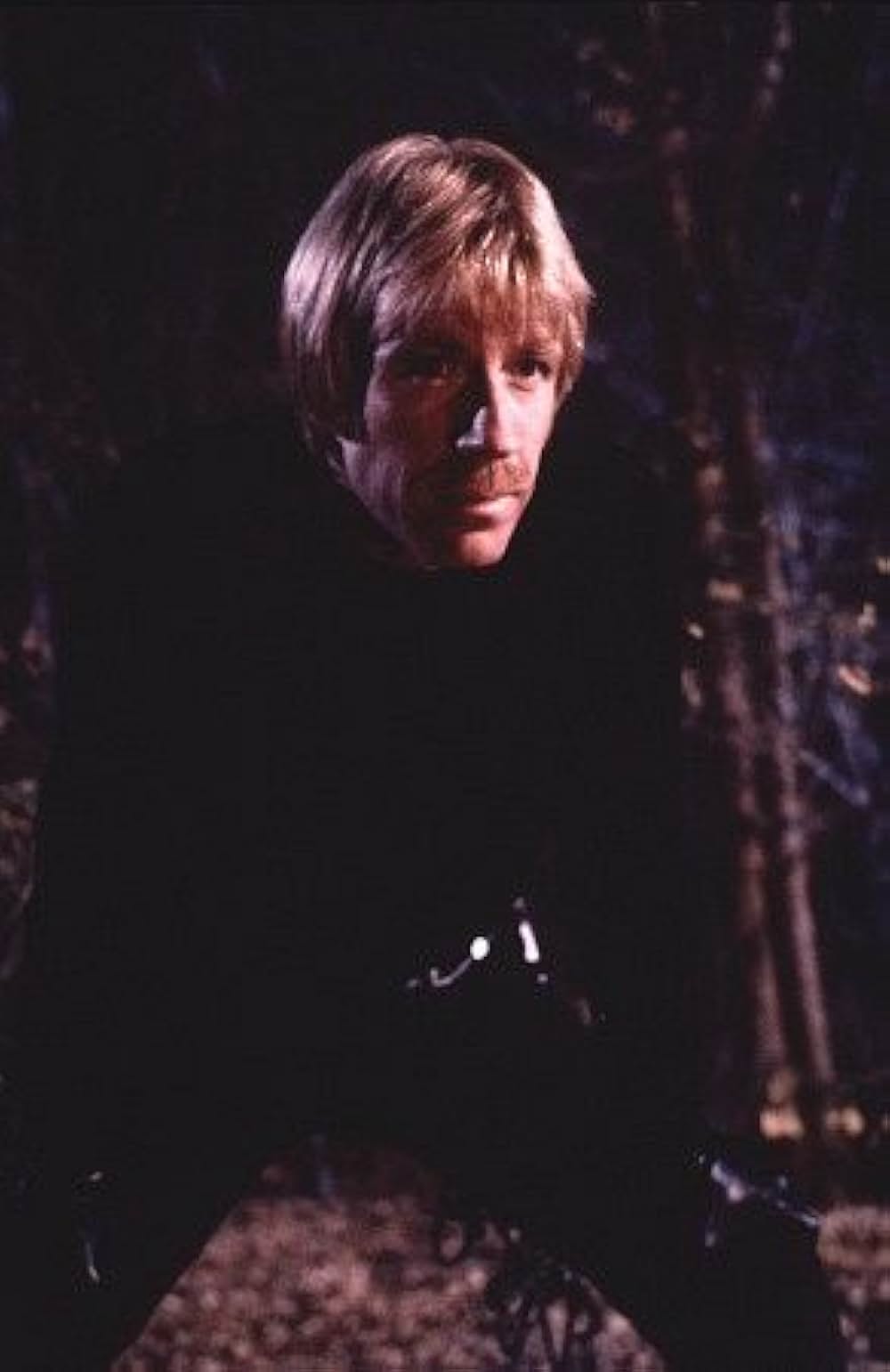 オクタゴンの画像