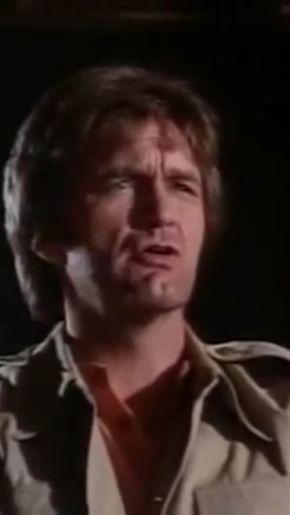 オクタゴンの画像