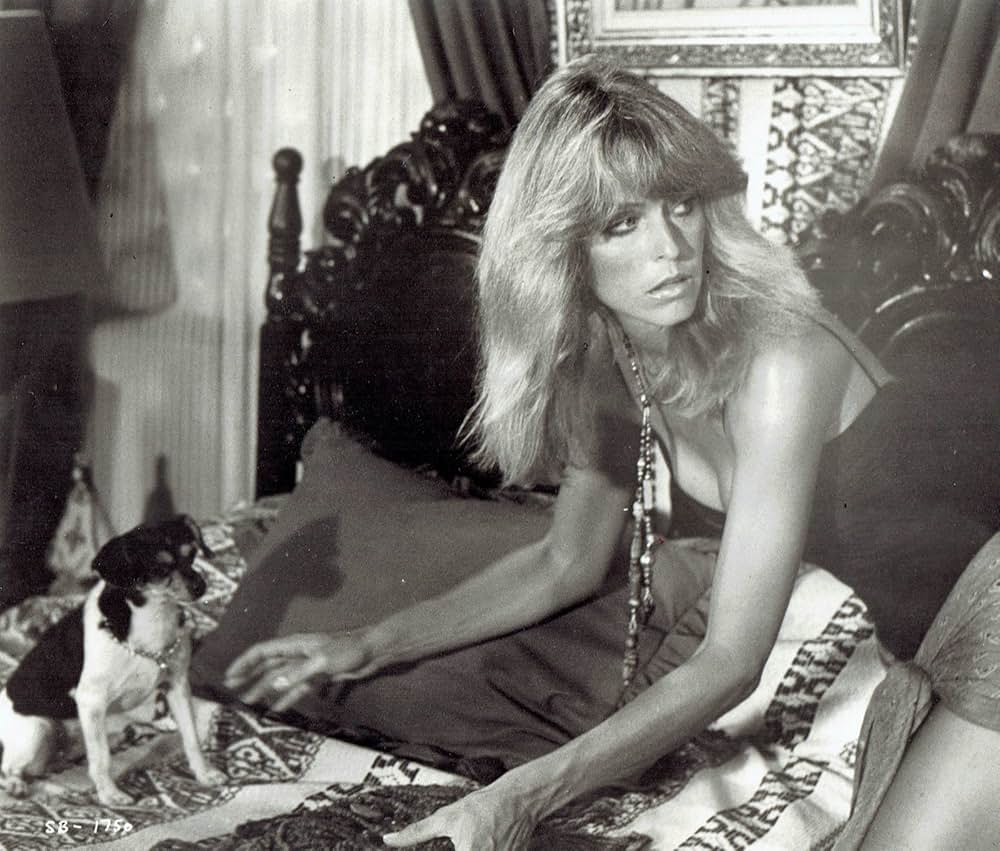 サンバーンの画像