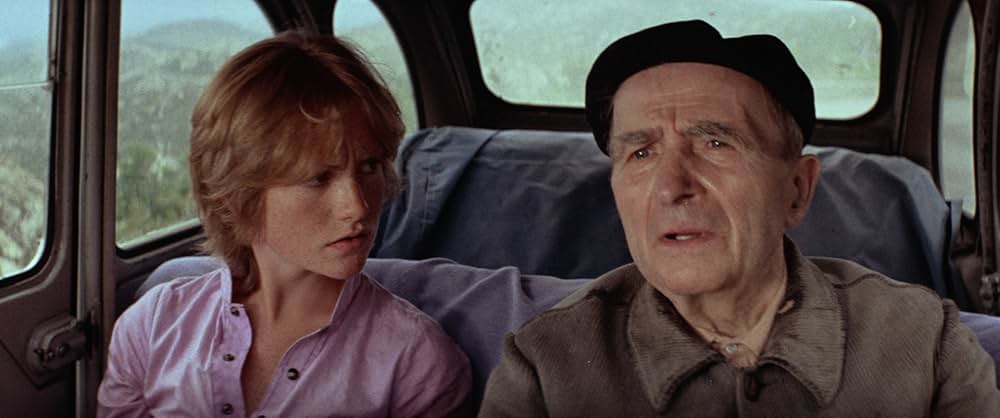 ローズバッドの画像