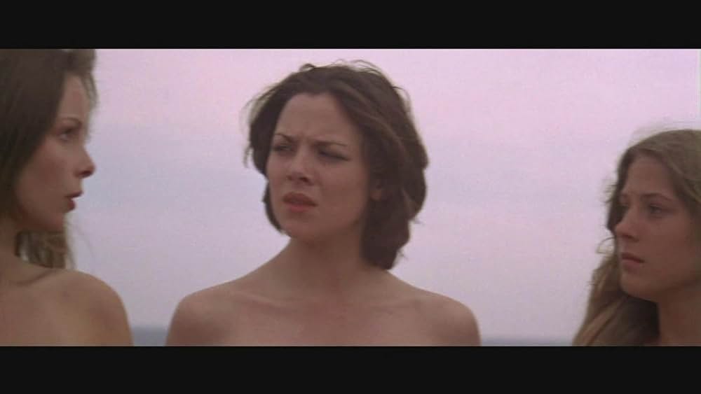 ローズバッドの画像