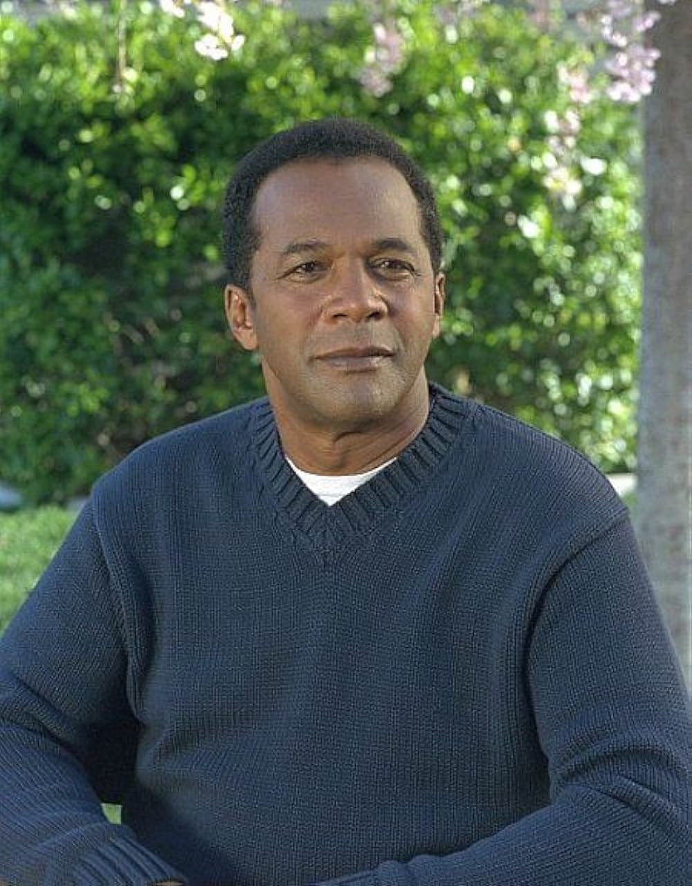 バーティカル・ハンガーの画像