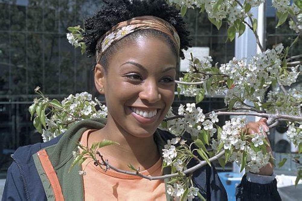 バーティカル・ハンガーの画像